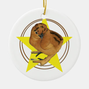 Zijdehoen Rode Kuiken Ster Keramisch Ornament