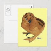 Zijdehoen Rood Kuiken Briefkaart (Voorkant / Achterkant)