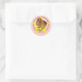 Zijdehoen Rood Kuiken Ster Ronde Sticker (Tas)