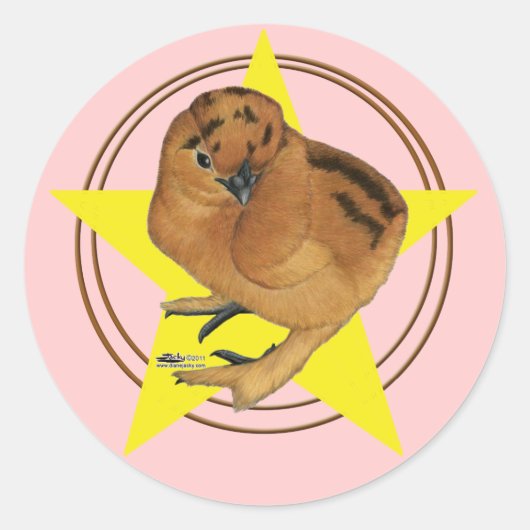 Zijdehoen Rood Kuiken Ster Ronde Sticker (Voorkant)