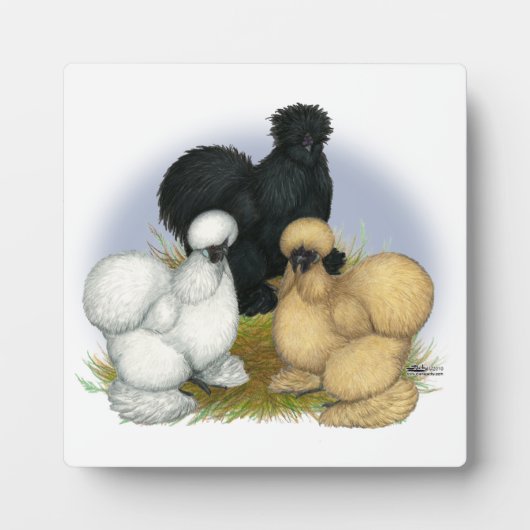 Zijdehoen Trio Fotoplaat (Voorkant)
