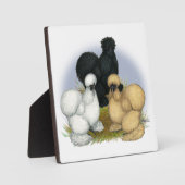 Zijdehoen Trio Fotoplaat (Voorkant)