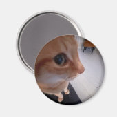 Zijdelings kijkende kat meme magneet (Voorkant / Achterkant)