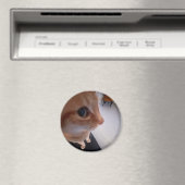 Zijdelings kijkende kat meme magneet (Insitu (Vaatwasser))