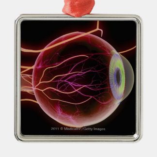 Zijdelings uitzicht van de bloedvaten van het oog metalen ornament