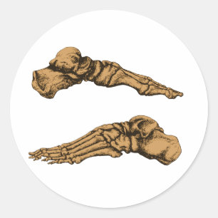 Zijdelings uitzicht van de botten van de poten - s ronde sticker