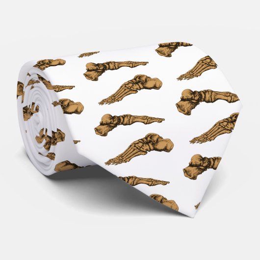 Zijdelings uitzicht van de botten van de poten - s stropdas (Opgerold)