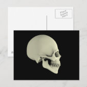 Zijdelings Uitzicht van de menselijke schedel Briefkaart (Voorkant / Achterkant)