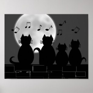 Zijdelingschap met maanlicht poster