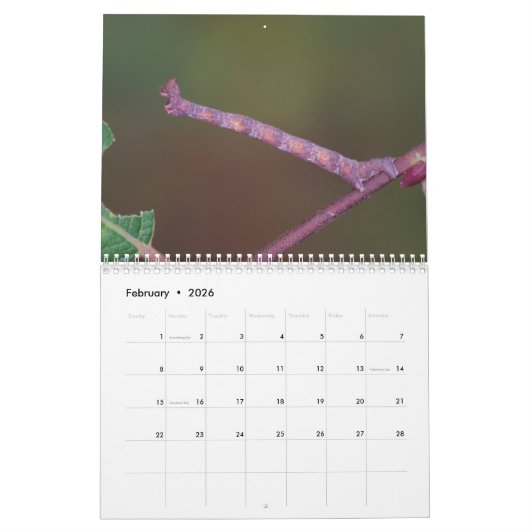 Zijdelingse pijlers! Agenda Kalender (Feb 2026)