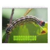 Zijdelingse pijlers! Agenda Kalender (Hoes)