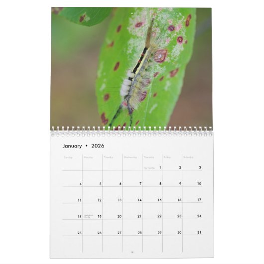 Zijdelingse pijlers! Agenda Kalender (Jan 2026)