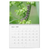 Zijdelingse pijlers! Agenda Kalender (Mar 2027)