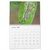 Zijdelingse pijlers! Agenda Kalender (Jan 2027)