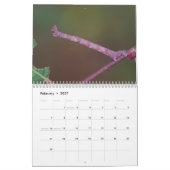 Zijdelingse pijlers! Agenda Kalender (Feb 2027)