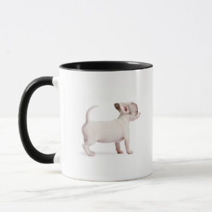 Zijdelingse uitzicht van Chihuahua Puppy (10 weken Mok