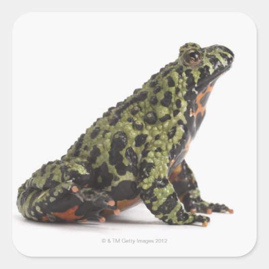 Zijdelingse Uitzicht van een brandweerschip Vierkante Sticker (Voorkant)