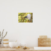 Zijdenplant Foto Poster (Keuken)