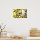 Zijdenplant Foto Poster (Keuken)