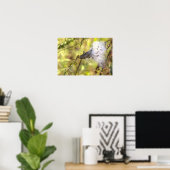 Zijdenplant Foto Poster (Thuiskantoor)