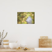 Zijdenplant Foto Poster (Keuken)