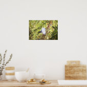 Zijdenplant Foto Poster (Keuken)