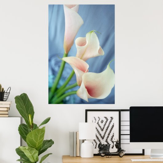 Zijdeparade White Calla Lily Fotografie Posters (Thuiskantoor)