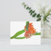 Zijdeplant op Wit Briefkaart (Staand voorkant)