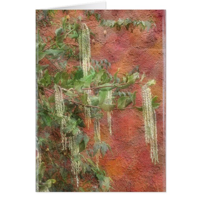 Zijderband - Kaart (Voorkant)