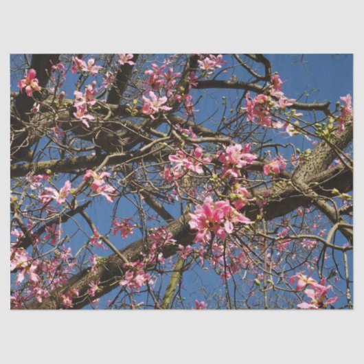 Zijderbloemig Blossom Papier (Voorkant)