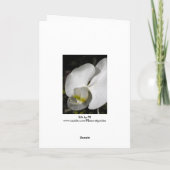 Zijderige orchidee Wenskaart Kaart (Achterkant)