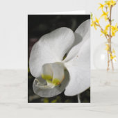 Zijderige orchidee Wenskaart Kaart (Gele Bloem)