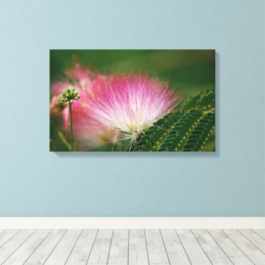 Zijderoze Mimosa Canvas Afdruk (Insitu (Houten vloer))