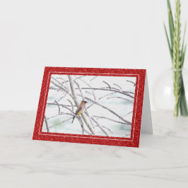 Zijdestaart Vogel Winter Kerstmis Kaart