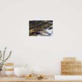 Zijdewater 1 Poster (Keuken)