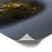 Zijdewater 4 Poster (Hoek)