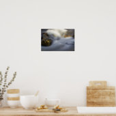 Zijdewater 4 Poster (Keuken)