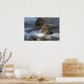 Zijdewater 8 Poster (Keuken)