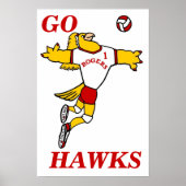 ZijHawk Volleyball Mascot Poster (Voorkant)