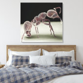 Zijkant uitzicht van een mier canvas afdruk (Insitu (Slaapkamer))