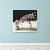 Zijkant uitzicht van een mier canvas afdruk (Insitu (Houten vloer))
