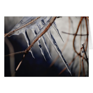 Zijn bijtende aanraking