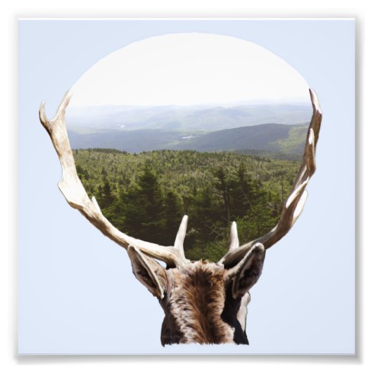 Zijn domein foto afdruk (Voorkant)