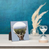 Zijn domein fotoplaat (Insitu)