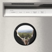 Zijn domein magneet (Insitu (Vaatwasser))