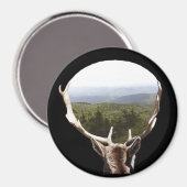 Zijn domein magneet (Voorkant / Achterkant)