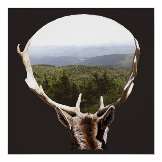 Zijn domein poster (Voorkant)