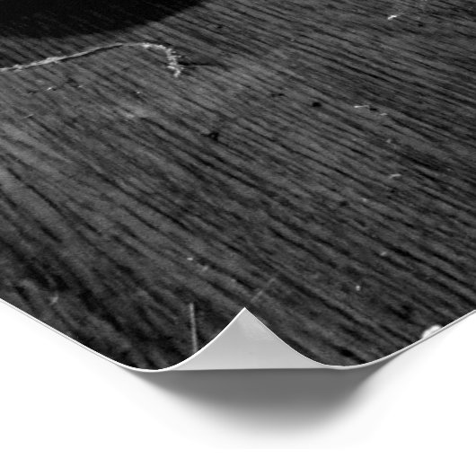 Zijn en Haar Japanse Sandalen Poster (Hoek)