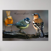 Zijn genade is voldoende. poster (Voorkant)