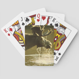 Zijn hoofd in water gooien pokerkaarten